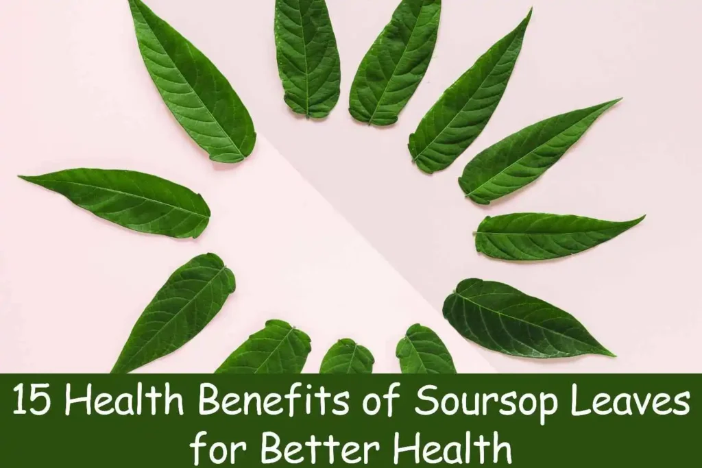 15 Health Benefits of Soursop Leaves for Better Health