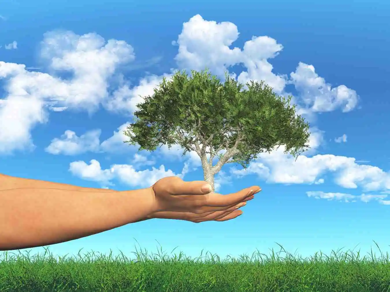 Health Threetrees Com VN
