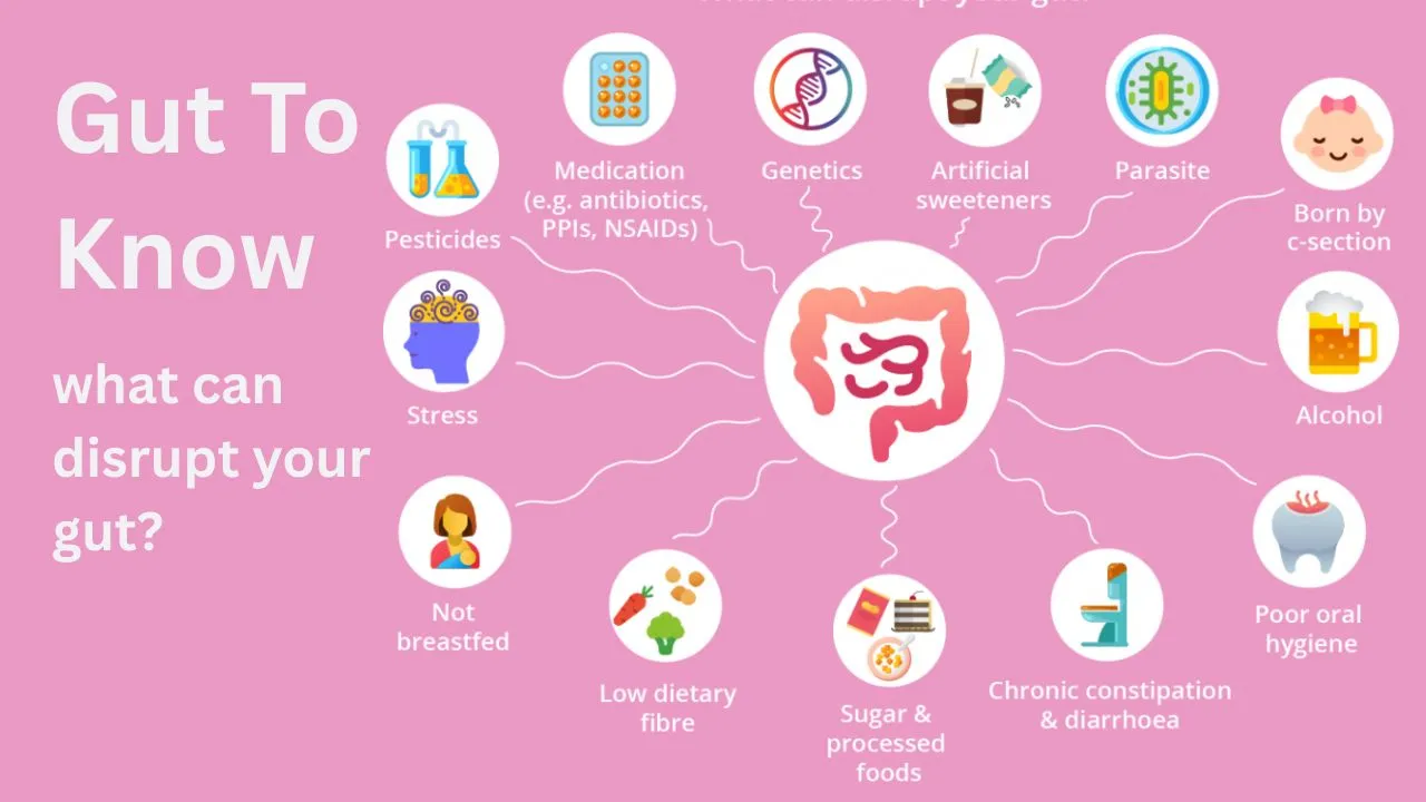 Gut health diet for athletes