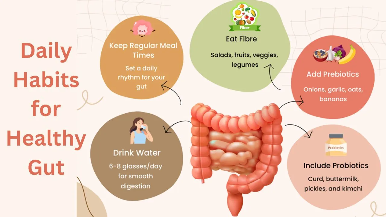 Gut health diet for athletes